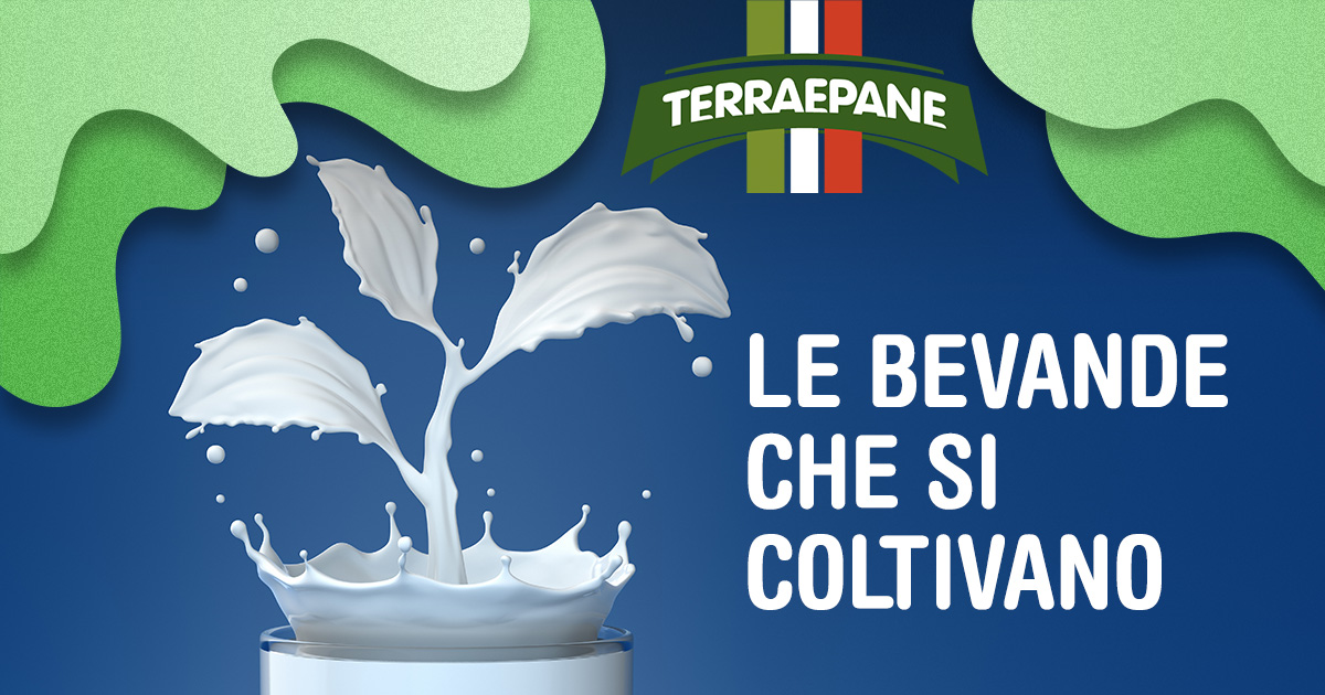 Terra e Pane a Santarcangelo di Romagna