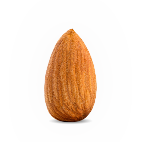 Sead of almond