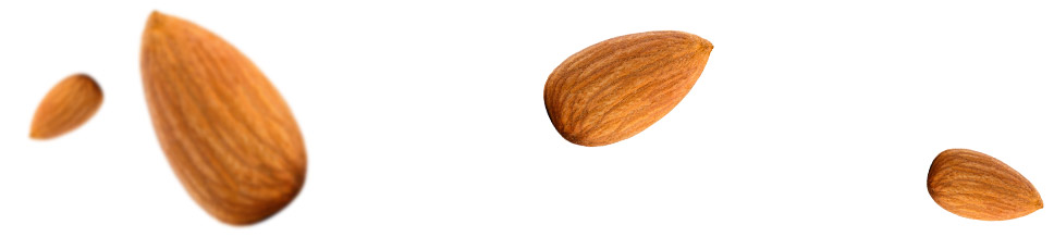 Semi di almond